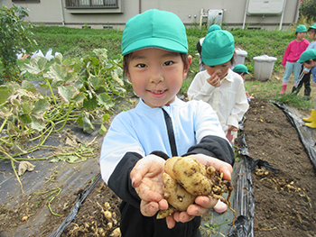 2024夏ひまわり組写真4