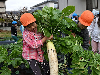 2025秋ひまわり組写真3