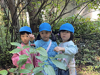 2025秋さくら組写真1