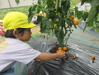 2025夏ちゅーりっぷ組写真4