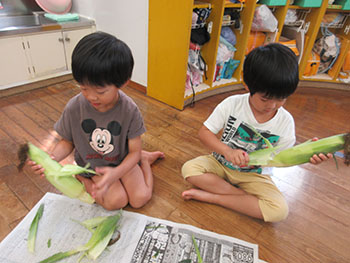 2025夏さくら組写真3